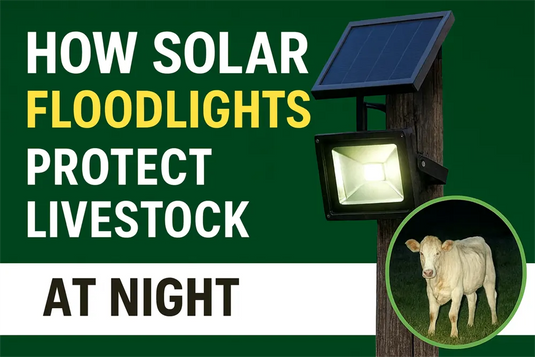 How Solar Floodlights Protect Livestock at Night: A Complete Guide for Ranchers & Landowners