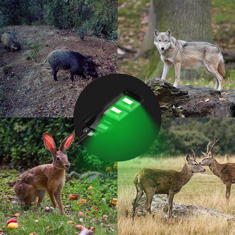 Load image into Gallery viewer, Solar Green Feeder Light for Hunting -12,000 lumens
