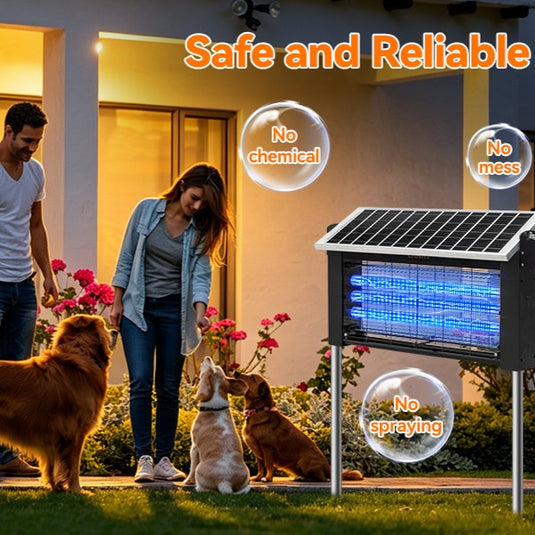 Family & Pet-Safe Solution